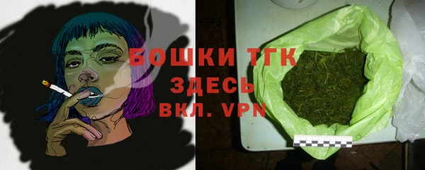 индика Вязники