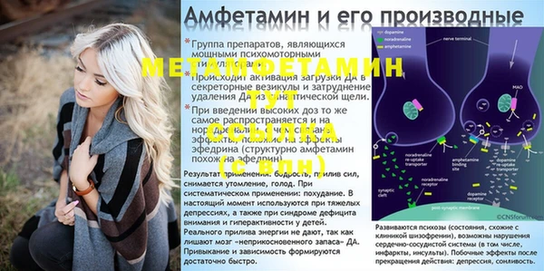 индика Вязники
