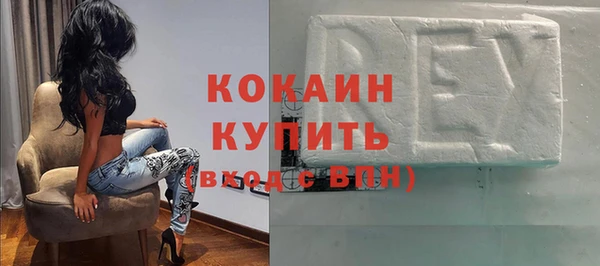 индика Вязники