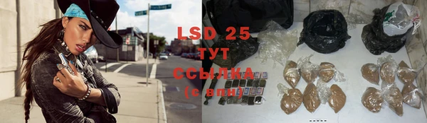 индика Вязники
