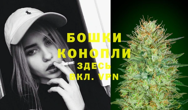 индика Вязники