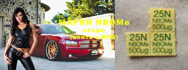 индика Вязники