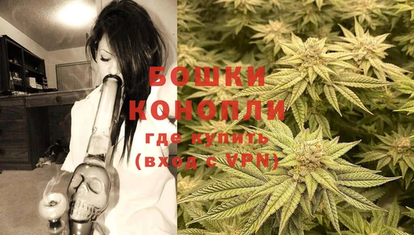индика Вязники