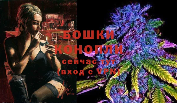 индика Вязники
