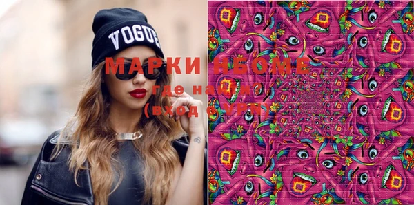 индика Вязники