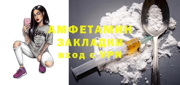 индика Вязники