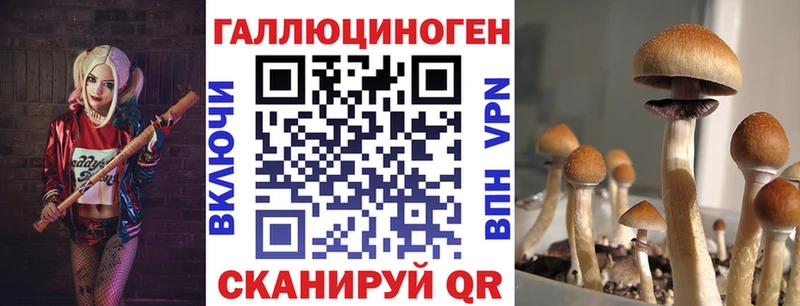 цены наркотик  Набережные Челны  Галлюциногенные грибы Magic Shrooms 