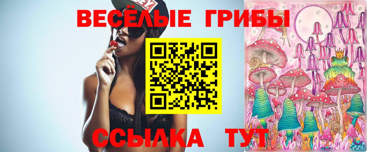 Псилоцибиновые грибы GOLDEN TEACHER Набережные Челны