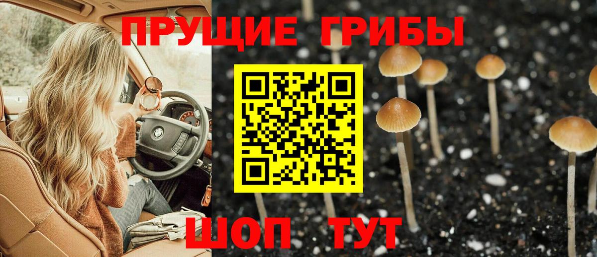 Псилоцибиновые грибы Psilocybine cubensis  Вход с VPN  Галлюциногенные грибы MAGIC MUSHROOMS  Набережные Челны 